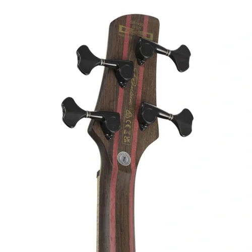 Ibanez SR1420B-CGL 4 Telli Bas Gitar