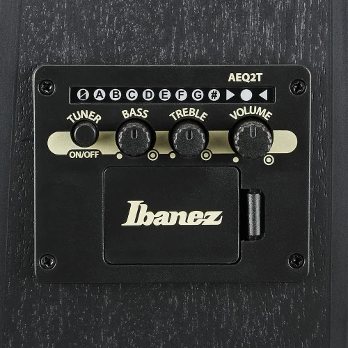 Ibanez TCY621-BOT Siyah Elektro Akustik Gitar