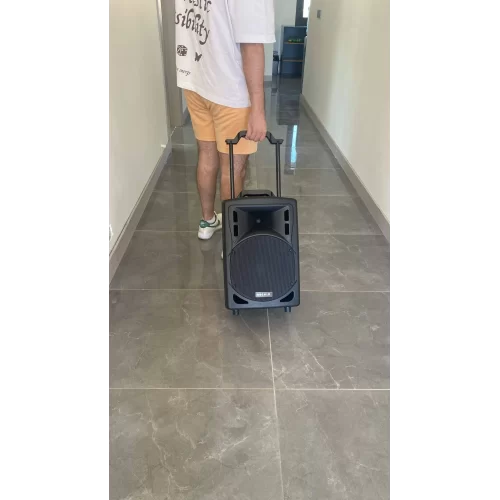 Mickle MP1010  10 Taşınabilir  Akülü Portatif Hoparlör Sistemi 300W/rms