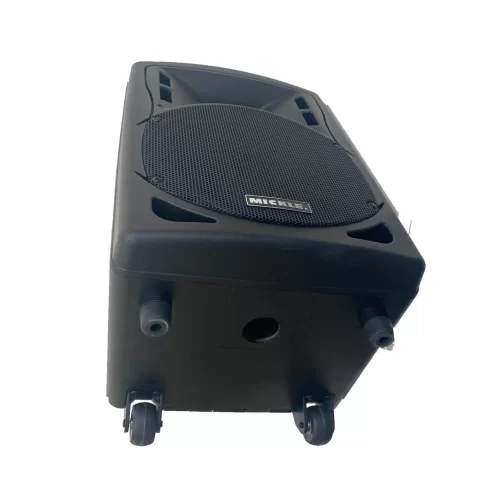Mickle MP1010  10 Taşınabilir  Akülü Portatif Hoparlör Sistemi 300W/rms