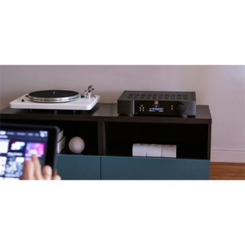 MOON ACE Network & Entegre Power Amfi