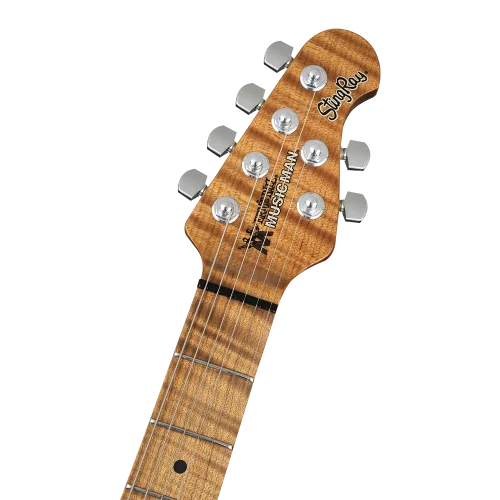 MUSIC MAN StingRay RS Serisi Fremist Silver Elektro Gitar
