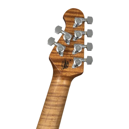 MUSIC MAN StingRay RS Serisi Fremist Silver Elektro Gitar