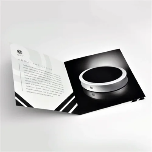 Nordost QPOINT Rezonans Giderici