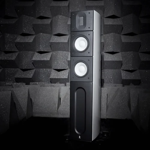 Raidho X2.6 Kule Hoparlör