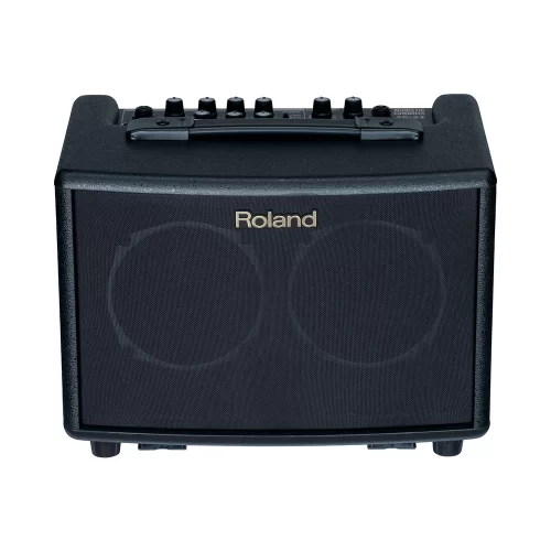 ROLAND AC-33 - 30 Watt Akustik Enstrüman Amfisi