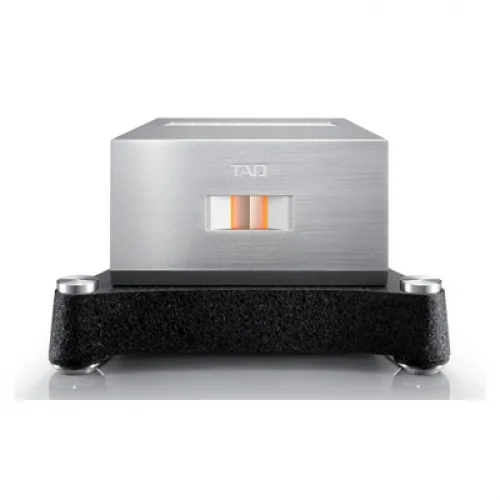 TAD Reference Mono Power Amplifikatör TAD-M700