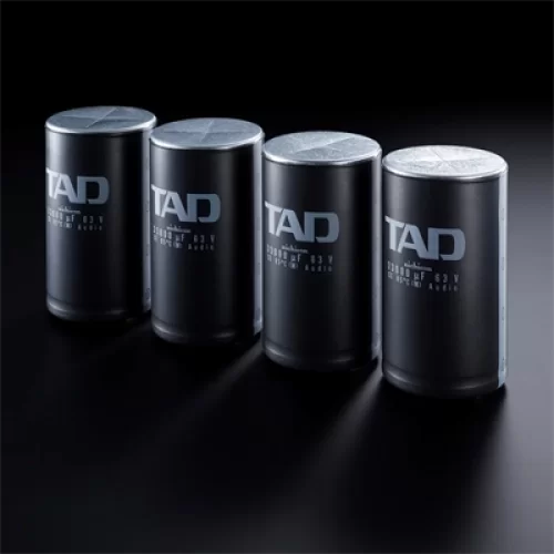 TAD Reference Mono Power Amplifikatör TAD-M700
