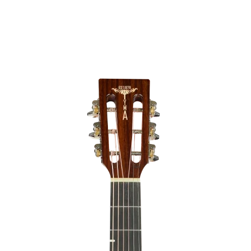 TYMA P-18E BRS Elektro Akustik Gitar