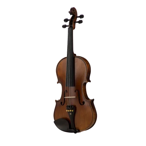 VANETTA VL-4 / 4/4 Masif Keman (Abanoz Kulak ve Aksam)