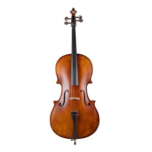 VANETTA WN-21 3/4 Masif Ağaç Abanoz Aksam Çello