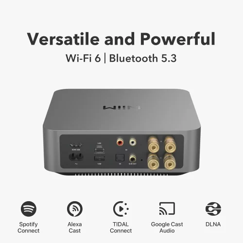 WiiM Amp Pro Streaming Mini Amplifikatör