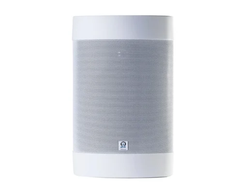 Origin Acoustics OS65 Dış Mekan Hoparlörü