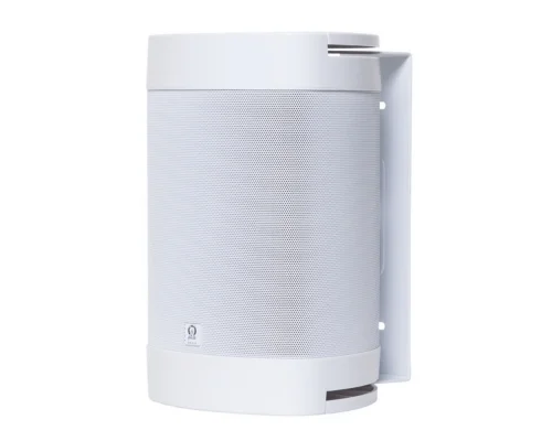 Origin Acoustics OS65 Dış Mekan Hoparlörü