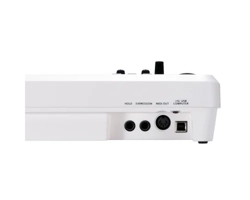 ROLAND A-49-WH / 49 Tuş MIDI Klavye