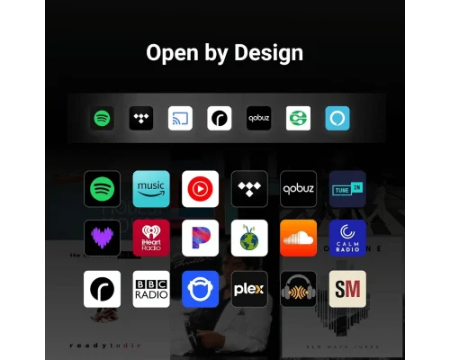 Wiim SOUND Kablosuz Wifi Hoparlör