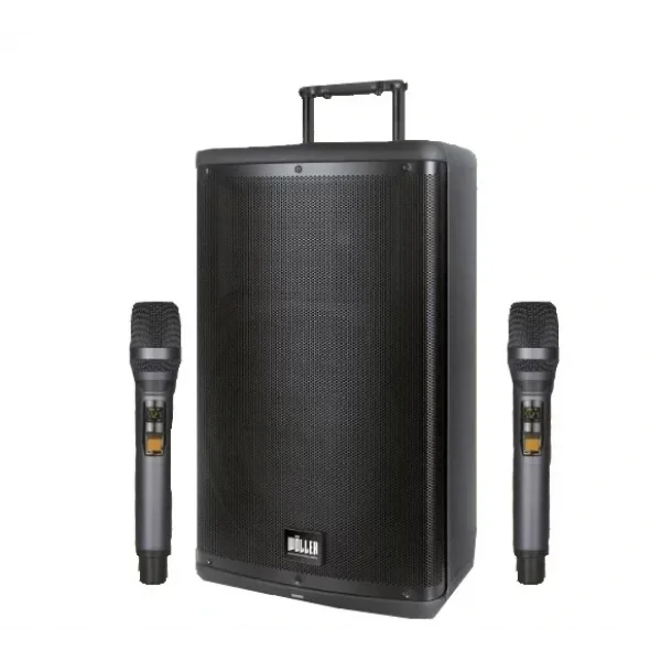 Wöller W-1230 DSP Taşınabilir Ses Sistemi 12 400W Hoparlör | Çift El Kablosuz Mikrofonlu | USB, Bluetooth