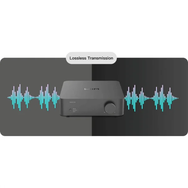 WiiM Vibelink Entegre Power Amfi