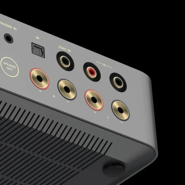 WiiM Vibelink Entegre Power Amfi