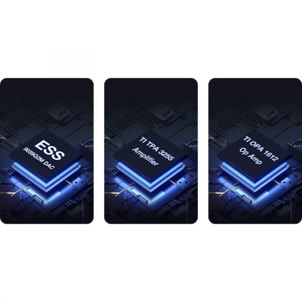 WiiM Vibelink Entegre Power Amfi