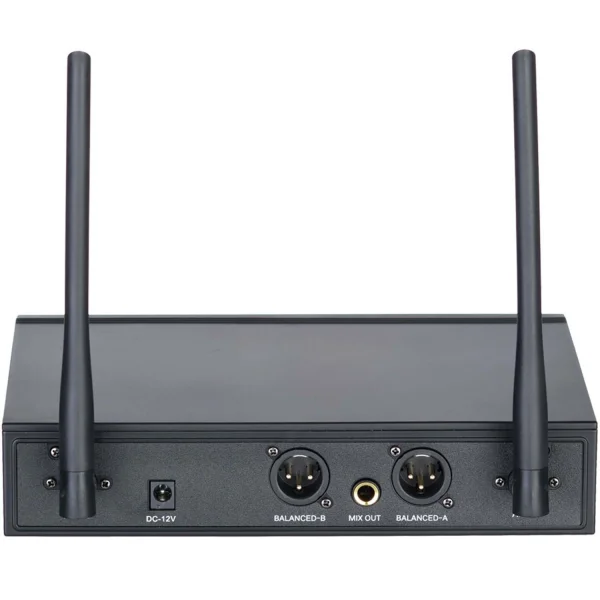 Wöller W-102 EE Çift El Kablosuz Mikrofon Seti