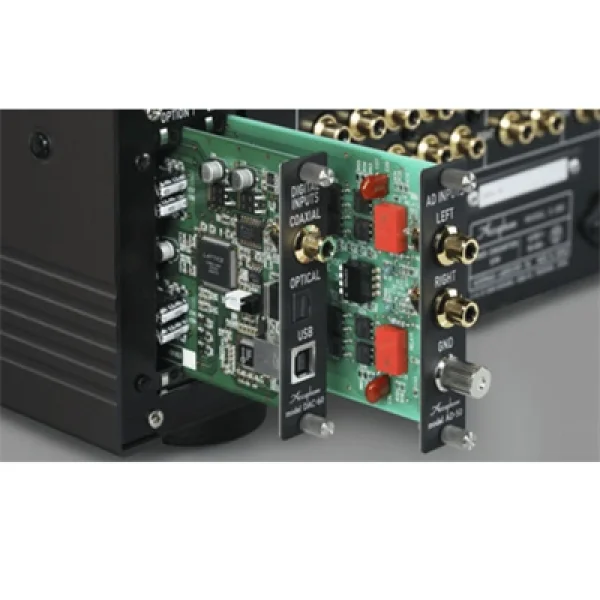 Accuphase DAC-60 Opsiyon DAC Kartı
