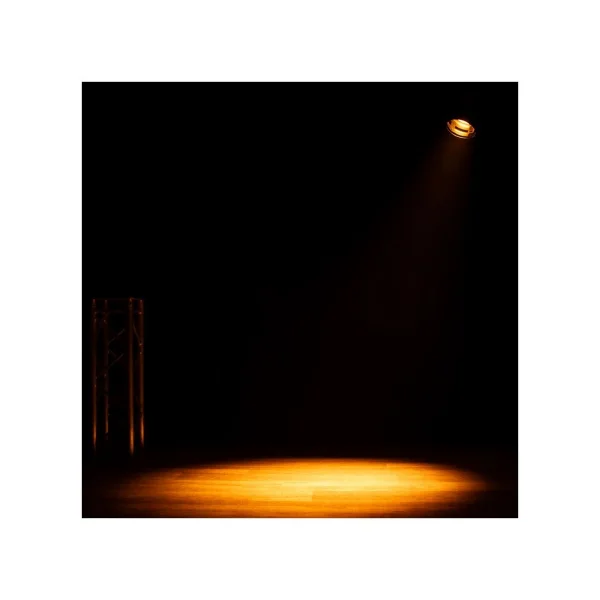 ADJ Lighting Par Z300 RGBA 300-Watt Quad RGBA C.O.B. LED Par Spot