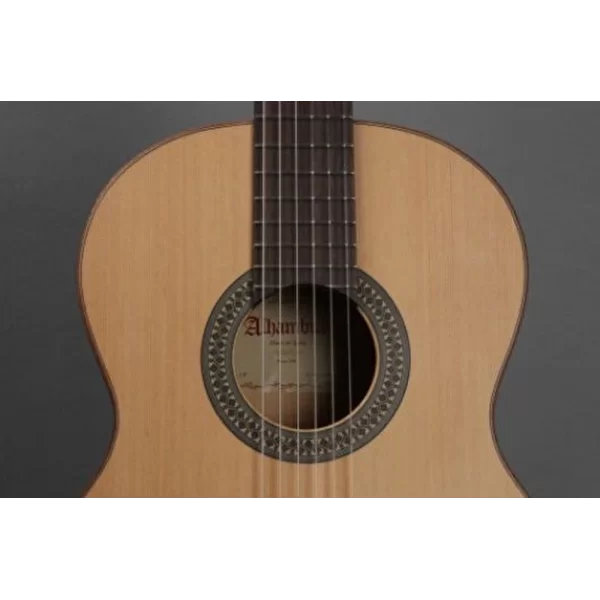ALHAMBRA 2F / Flemenko Klasik Gitar