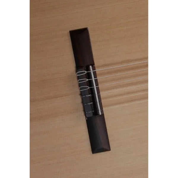 ALHAMBRA 2F / Flemenko Klasik Gitar