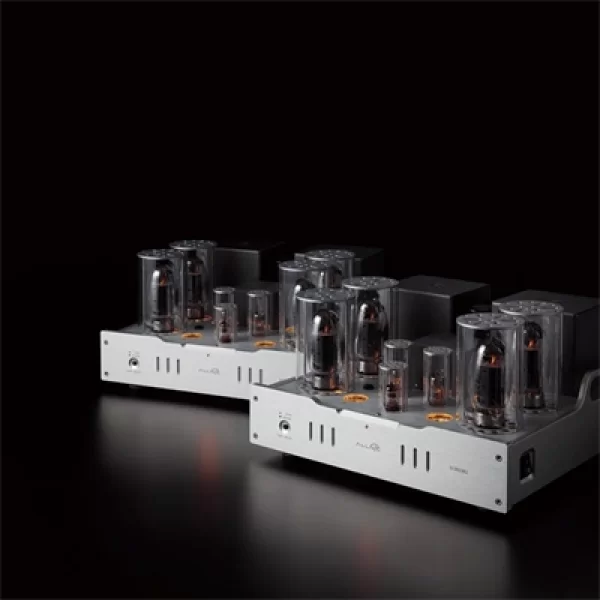 Allnic Audio M 3000 MK3 Lambalı Mono güç Amplifikatörü