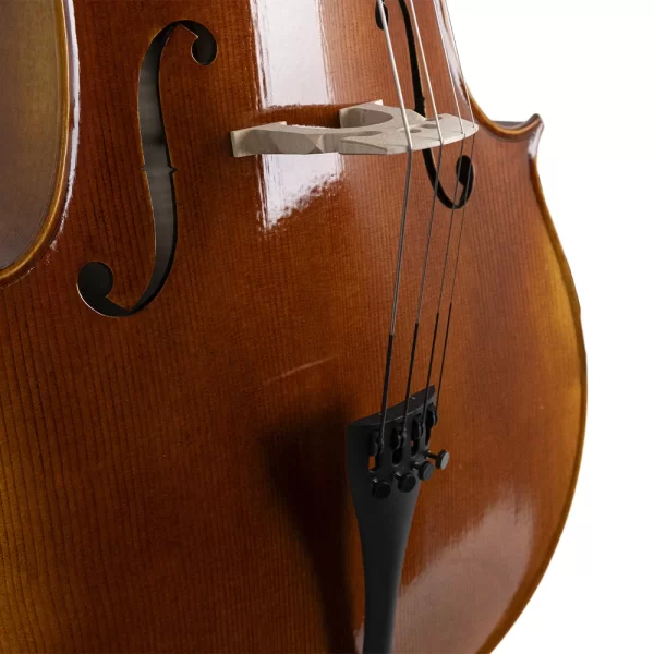 ANTON BRUCKNER C.MAESTRO XII Çello
