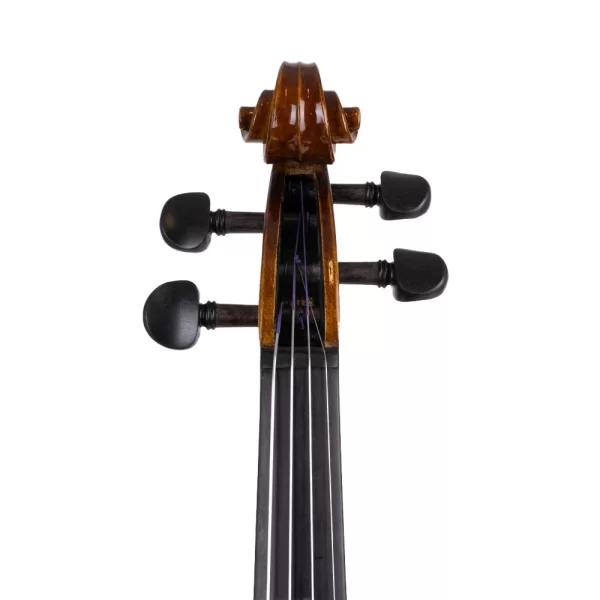 ANTON BRUCKNER MAESTRO I Keman (Thomastik Telli - Yay ve Taşıma Çantası Dahil)