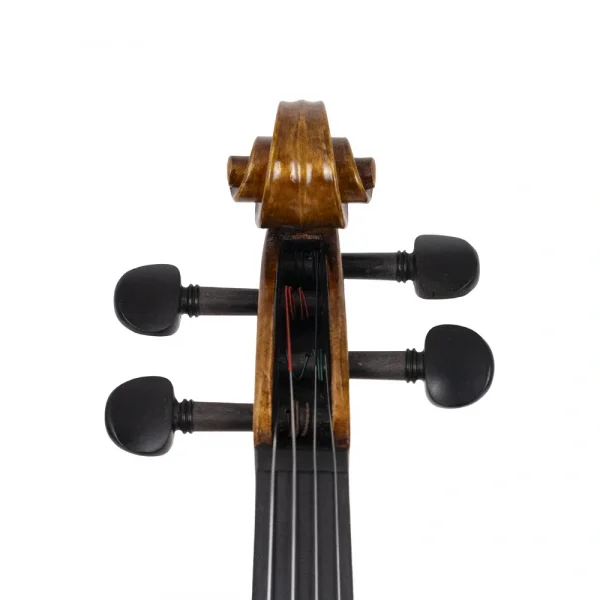 ANTON BRUCKNER MAESTRO VIII Keman (Pirastro Telli - Yay ve Taşıma Çantası Dahil)