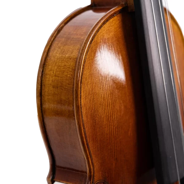 ANTON BRUCKNER MAESTRO X-ELITE I Keman (Thomastik Telli - Yay ve Taşıma Çantası Dahil)