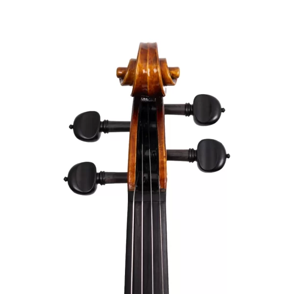 ANTON BRUCKNER MAESTRO X-ELITE I Keman (Thomastik Telli - Yay ve Taşıma Çantası Dahil)