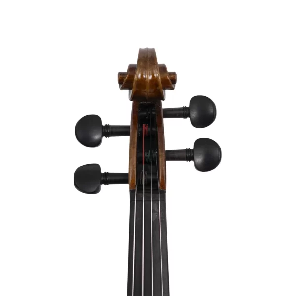 ANTON BRUCKNER V.MAESTRO EV-2 Keman