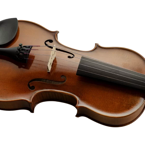 ANTON BRUCKNER V.MAESTRO X-II Pirastro Telli Keman & Yay ve Taşıma Kutusu