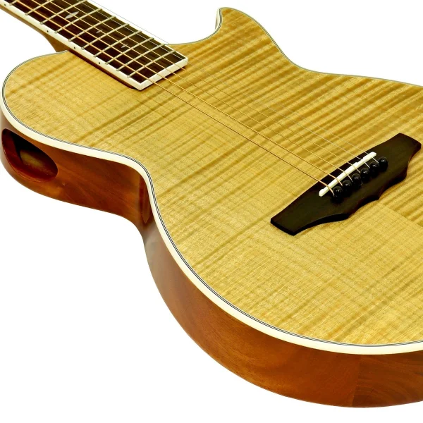 Aria APE100N Elektro Akustik Gitar