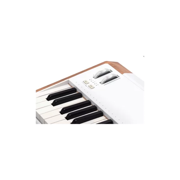 Arturia AstroLab 61 Tuş Stage/Studio Keyboard