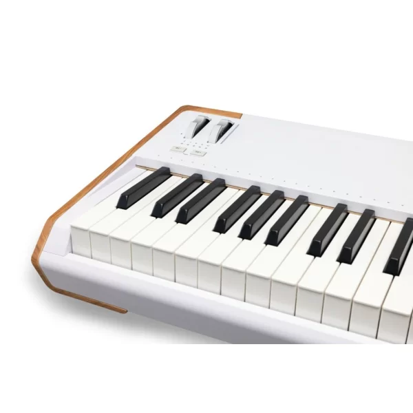 Arturia AstroLab 88 88 Tuş Stage/Studio Keyboard