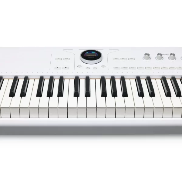 Arturia AstroLab 88 88 Tuş Stage/Studio Keyboard