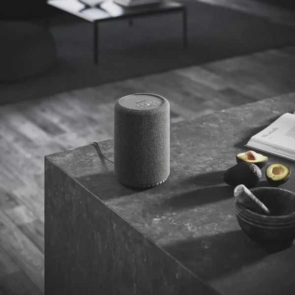 Audio Pro A10 MkII Koyu Gri Multiroom Akıllı Ev Hoparlörü
