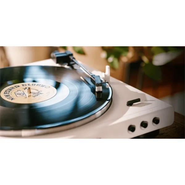 Audio Technica ATN3600LC Stylus