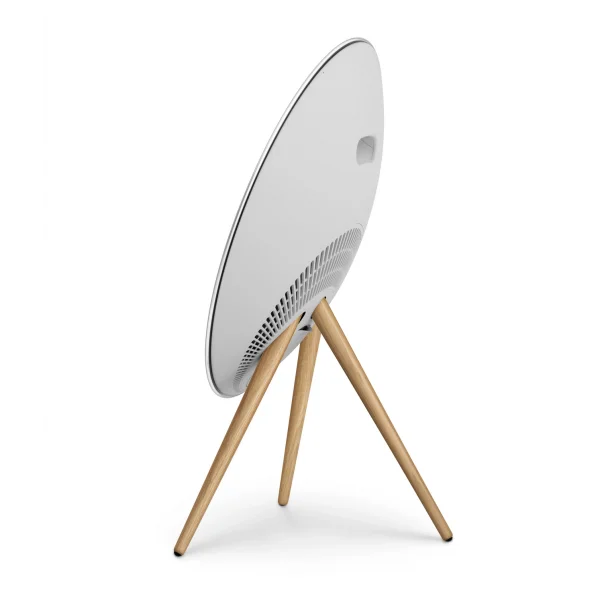 Bang & Olufsen Beosound A9 Multiroom Kablosuz Hoparlör