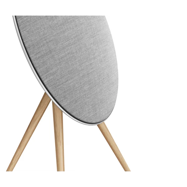 Bang & Olufsen Beosound A9 Multiroom Kablosuz Hoparlör