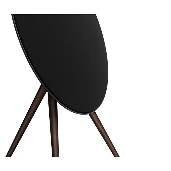 Bang & Olufsen Beosound A9 Multiroom Kablosuz Hoparlör