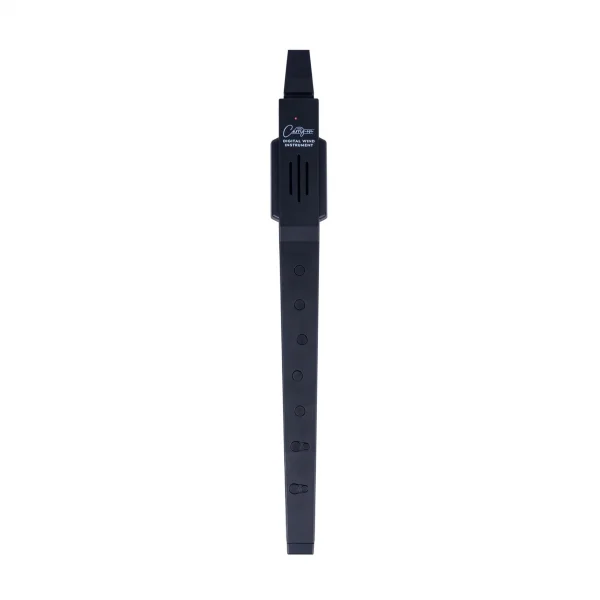 Blackstar Carry-On Dijital Flüt (Siyah)