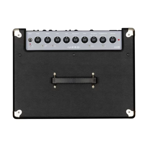 Blackstar Unity Bass U250 Kombo Bas Gitar Amfi