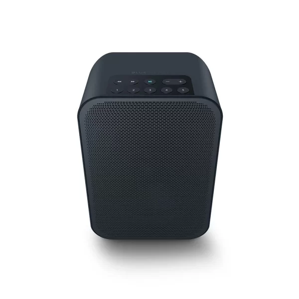Blue Sound Flex 2i Taşınabilir Kablosuz Hoparlör