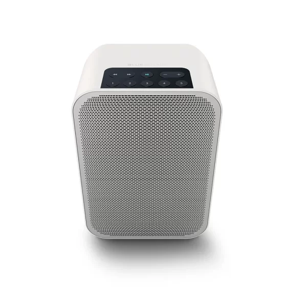 Blue Sound Flex 2i Taşınabilir Kablosuz Hoparlör